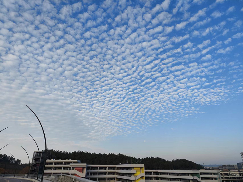 美麗校園